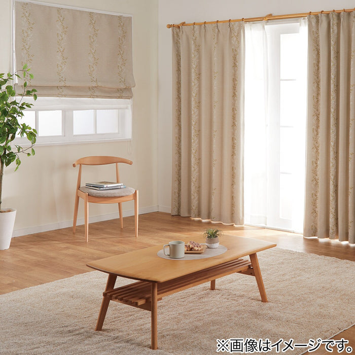 CURTAIN ERENA 100X135X2