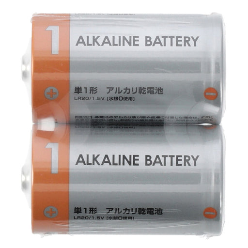 ALKALINE BATTERY LR20 2P NP1