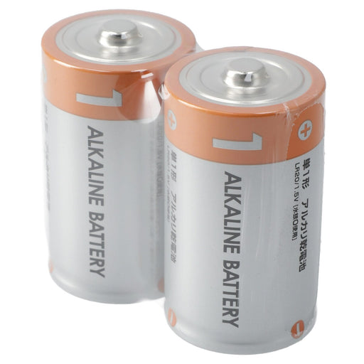 ALKALINE BATTERY LR20 2P NP1